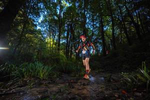 BIB: 
                            <button type="button" onclick="openModal(19233255)" class="btn btn-primary btn-sm float-right btn-popup" data-toggle="modal" data-target=".modal-high-quality">
                        <i class="fas fa-shopping-cart"></i> Add to Cart
                    </button>
                                            <button type="button" onclick="isThisMe(19233255, true)" class="btn btn-success btn-sm float-right btn-popup btn-isme hidden" data-toggle="tooltip" data-placement="bottom" title="นี่คือรูปของคุณใช่ไหม คลิกที่นี่เพื่อเอาเข้าอัลบั้ม">
                        <i class="fas fa-plus"></i> Add to album
                    </button>
                    <button type="button" onclick="isThisMe(19233255, false)" class="btn btn-warning btn-sm float-right btn-popup btn-isnotme hidden">
                        <i class="fas fa-ban"></i> Remove from album
                    </button>